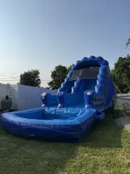 IMG 2908 1751496424 Ride The Wave