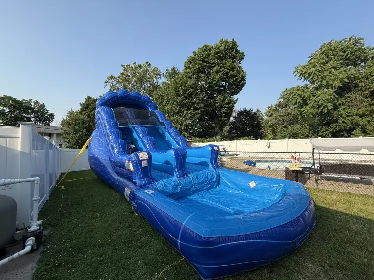Ride The Wave